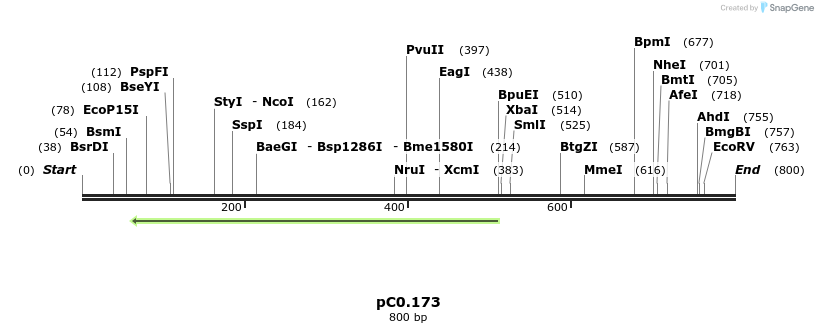 226178_map