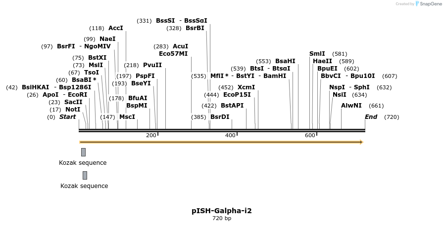 22618_map