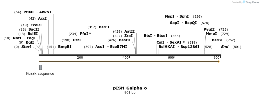 22619_map
