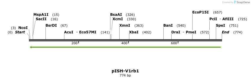 22620_map