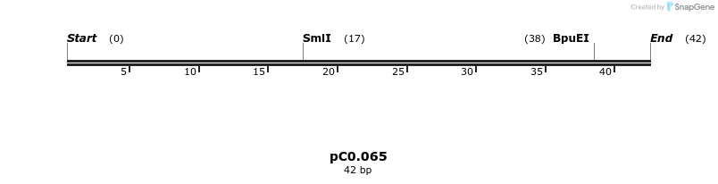226210_map