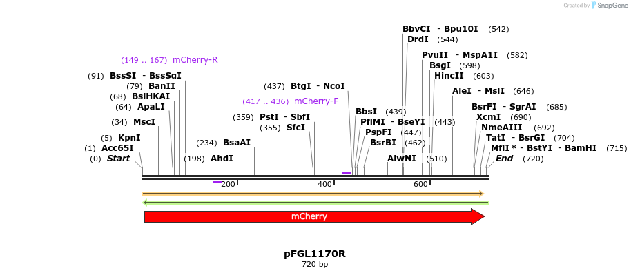226259_map