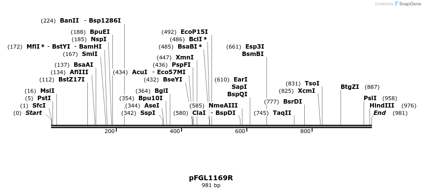 226266_map