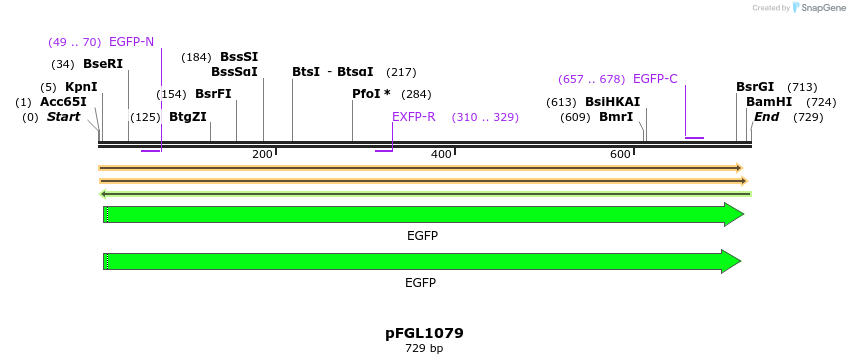 226269_map