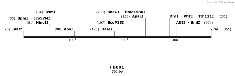 226273_map