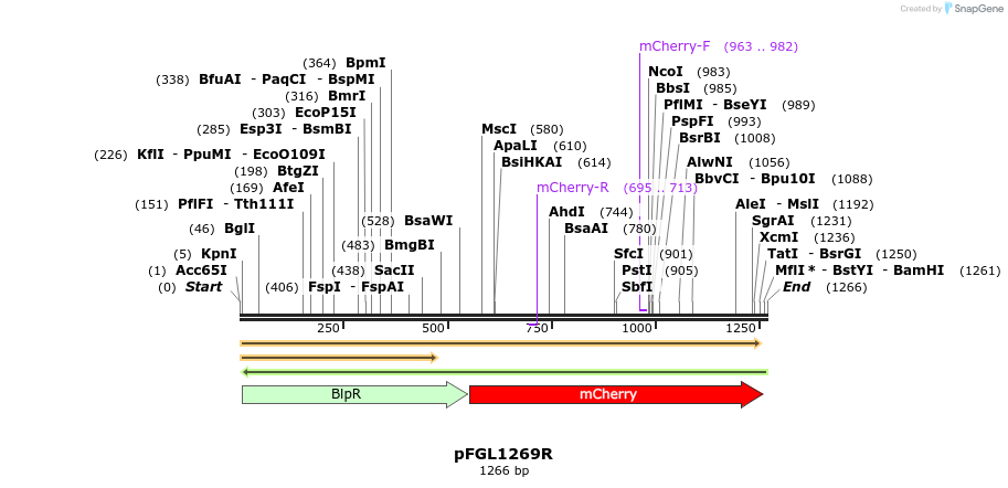 226276_map