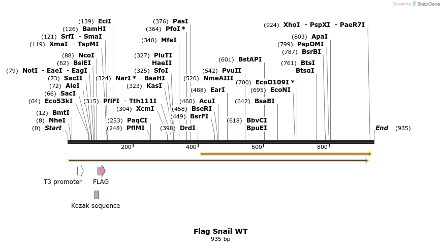 22628_map