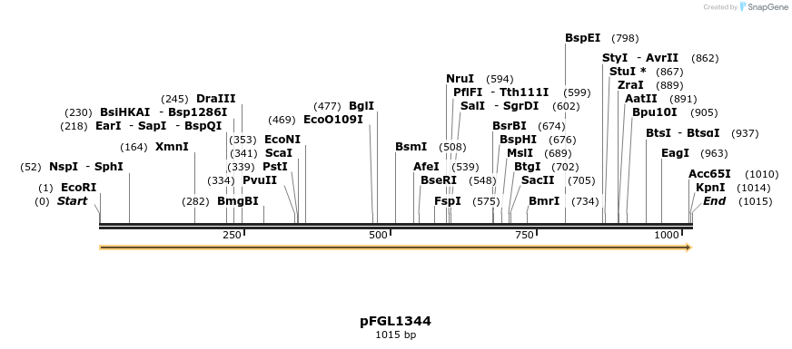 226280_map