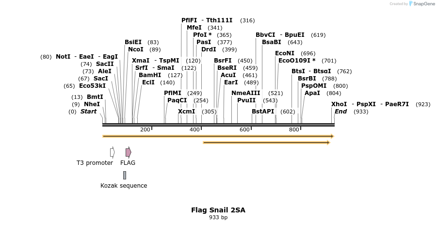 22629_map