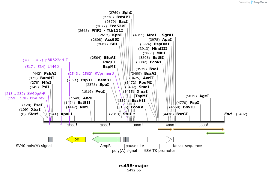 226294_map