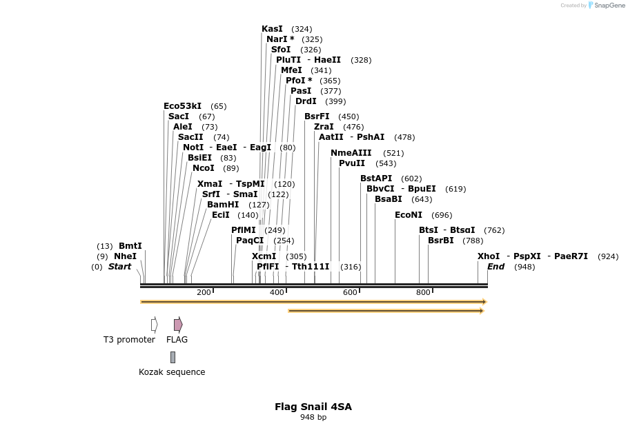 22630_map