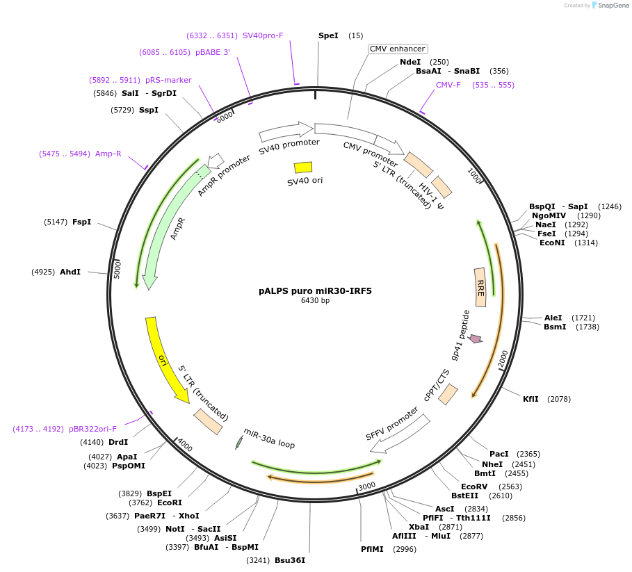 226301_map