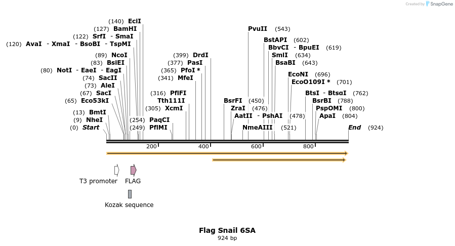 22631_map