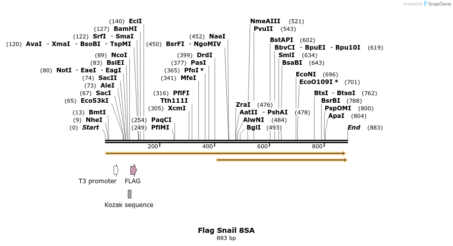 22632_map