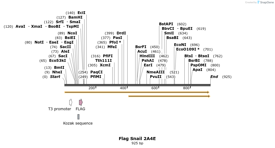 22634_map