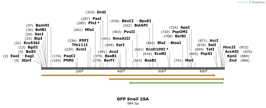 22636_map