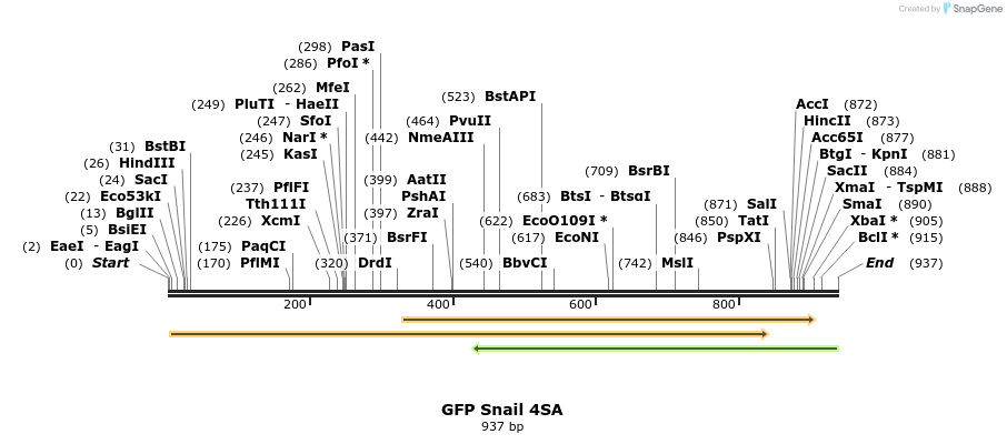 22637_map