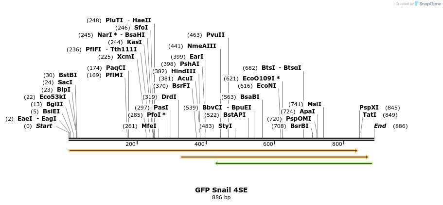 22640_map