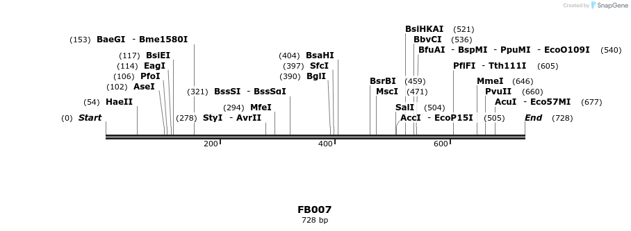 226402_map