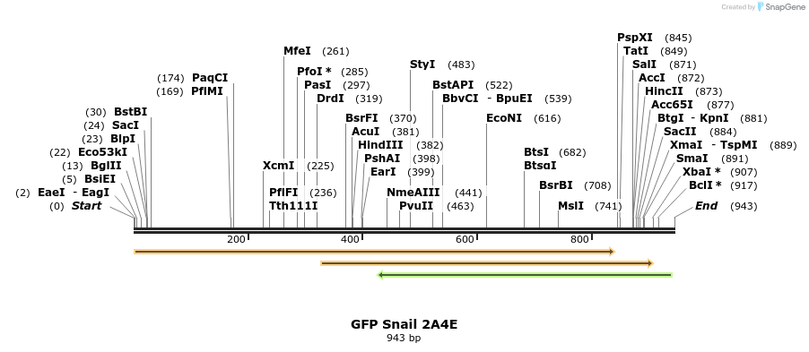 22641_map