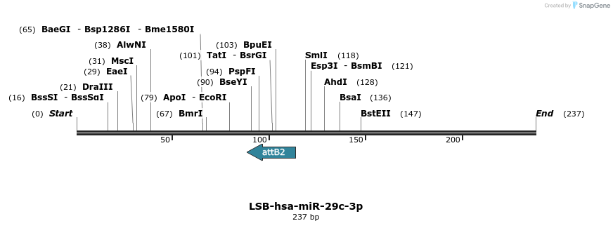 226476_map