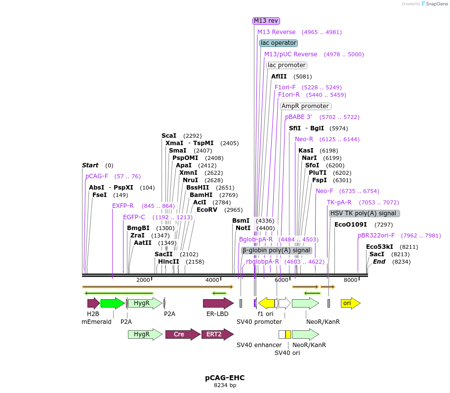 226489_map