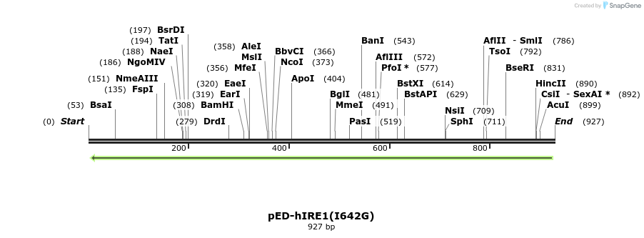 22649_map
