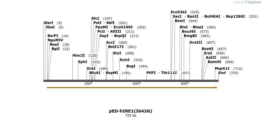 22650_map