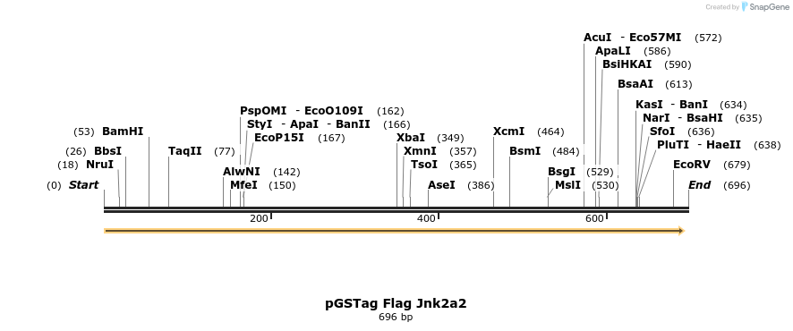 22651_map