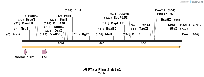 22652_map