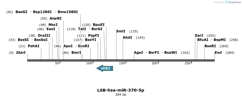 226542_map