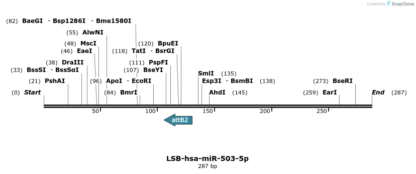 226550_map