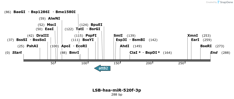226554_map
