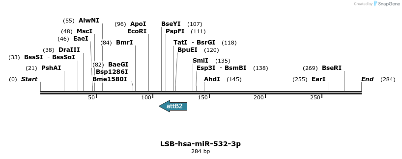 226555_map