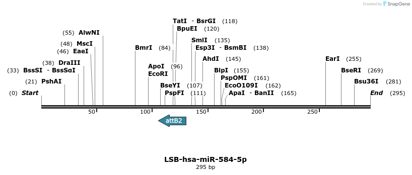 226562_map