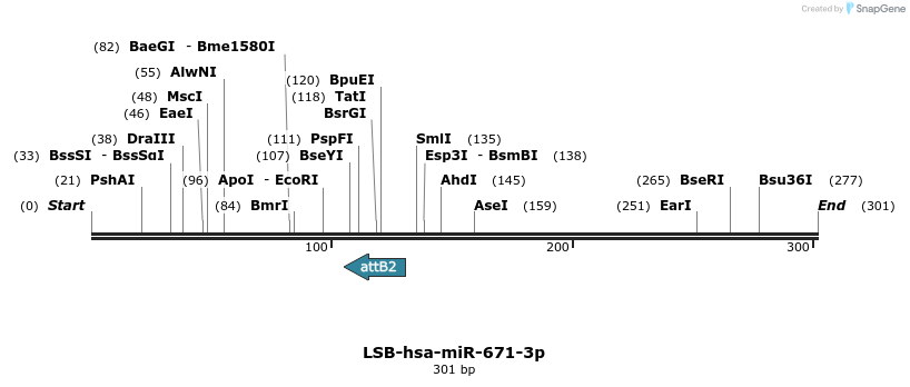 226567_map