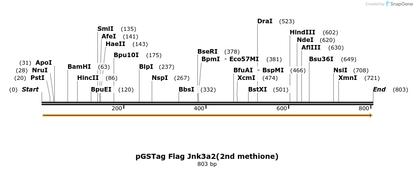 22659_map