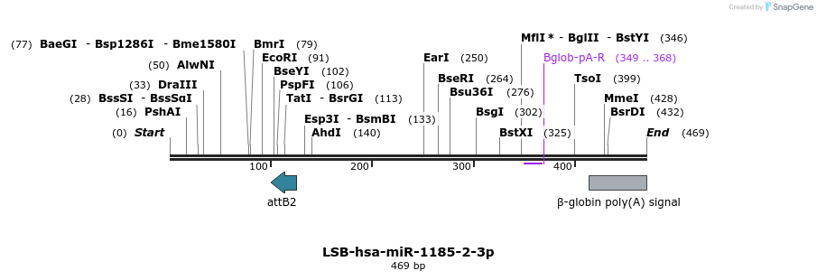 226595_map