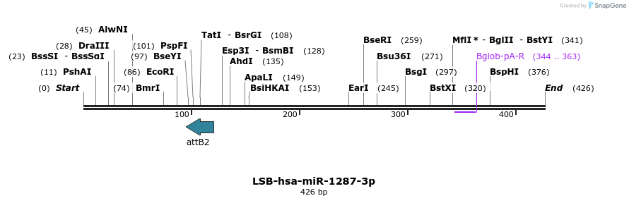 226598_map