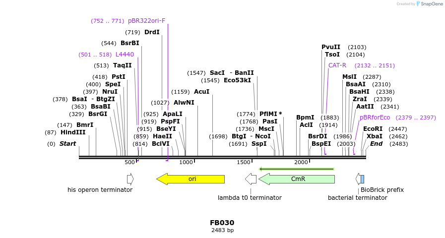 226601_map