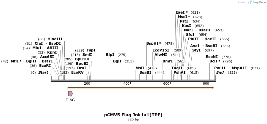 22661_map