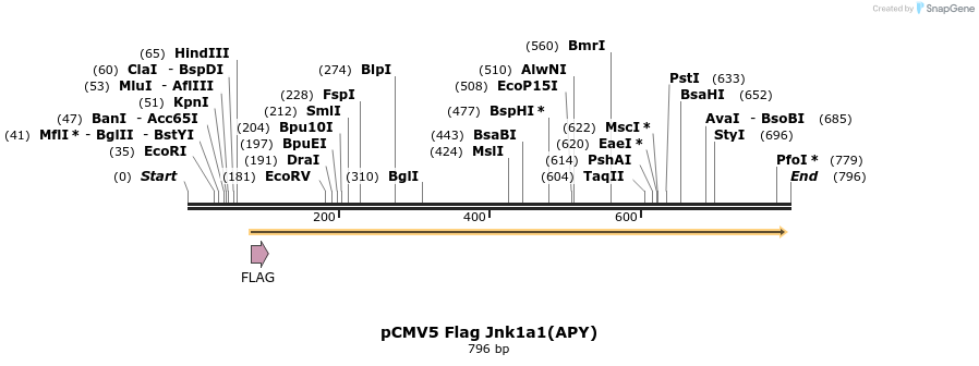 22662_map