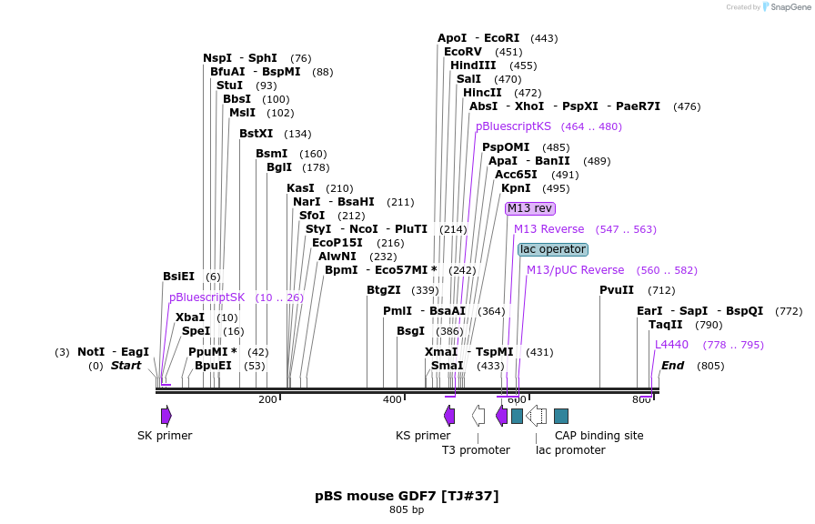 22667_map