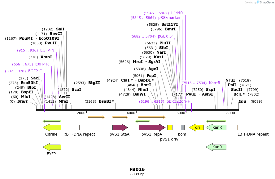 226692_map