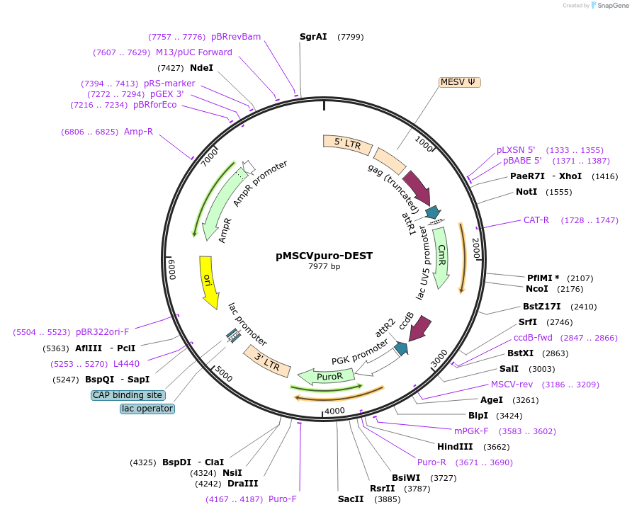226693_map