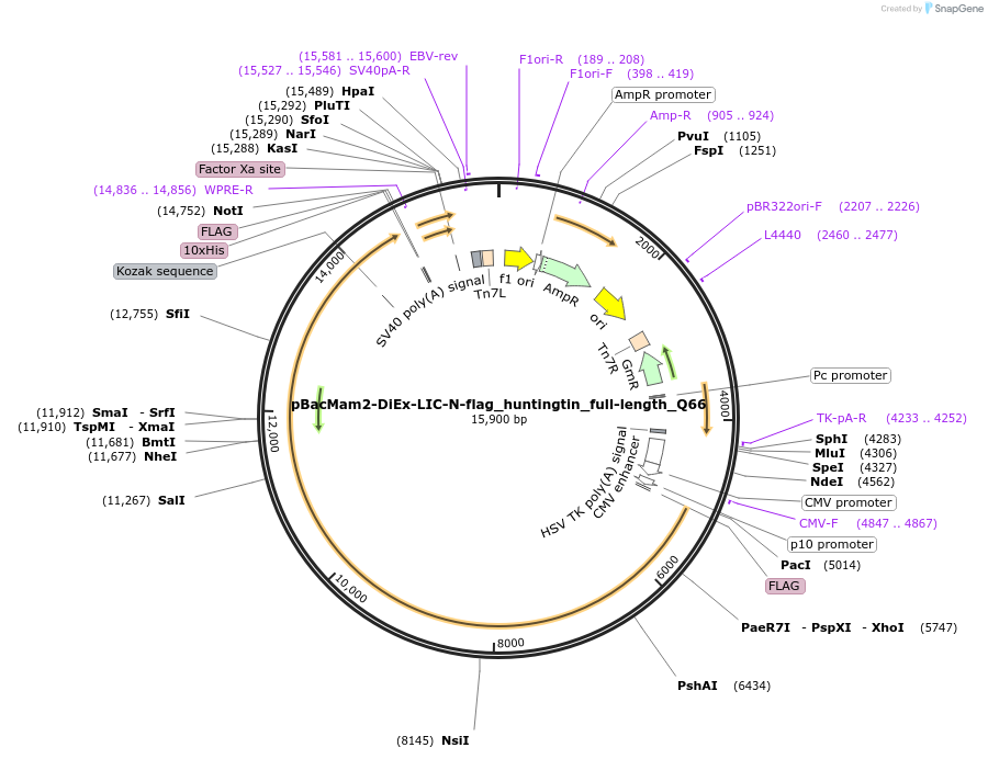 226804_map