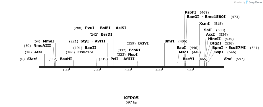 226843_map