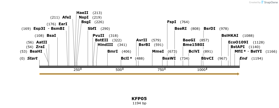 226844_map