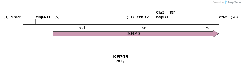 226845_map