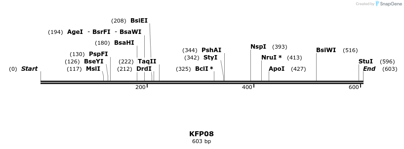 226857_map